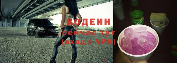 хмурый Армянск