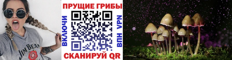 Псилоцибиновые грибы ЛСД  Семёнов 